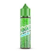 Comparer Mint Dragon Fruit 50ml - Mintaïa - E-liquides avec un prix minimum de 19.90€