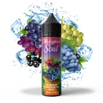 Comparer Mix Raisins Fruits Noirs Frais - MALAYSIAN SOUL de BOBBLE LIQUIDE 50ml - E-liquides avec un prix minimum de 17.90€