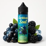 Comparer Myrtille, Framboise Bleue, Baies de Sureau, Frais 50ml - CARIBBEAN SOUL - E-liquides avec un prix minimum de 17.90€