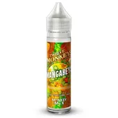 Comparer Mangabeys 50ml - Twelve Monkeys - E-liquides avec un prix minimum de 22.90€