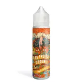 Comparer Mangue Glacée 50ml - Fruits d'Eden - E-liquides avec un prix minimum de 15.90€