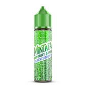 Comparer Mint Blackcurrant 50ml - Mintaïa - E-liquides avec un prix minimum de 19.90€