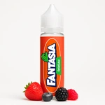 Comparer BERRIES - FANTASIA - e-liquide 50ml - E-liquides avec un prix minimum de 13.90€