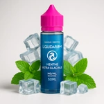 Comparer MENTHE ULTRA GLACIALE 50ml - LIQUIDAROM - E-liquides avec un prix minimum de 13.90€