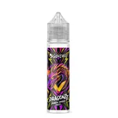 Comparer Mangue Cassis 50ml Dragonzz - Liquideo - E-liquides avec un prix minimum de 18.90€