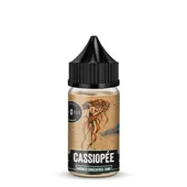 Comparer Concentré Cassiopée Astrale 30ml - Curieux - DIY avec un prix minimum de 13.90€
