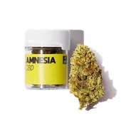 Comparer Amnesia - Marie Jeanne - CBD avec un prix minimum de 34.90€